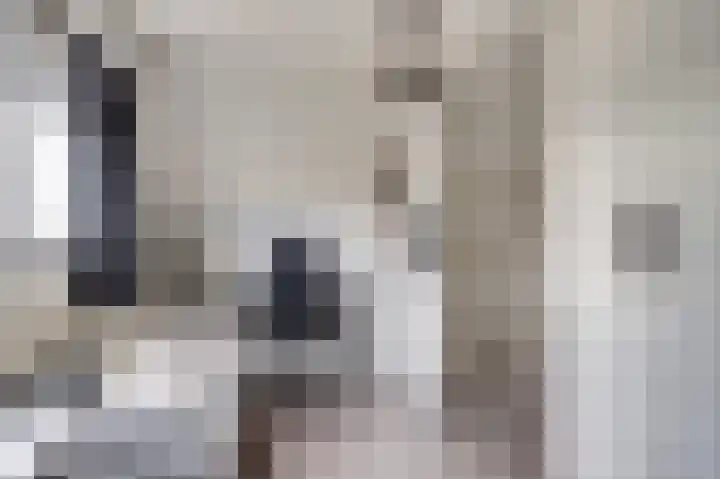Doorzwin 2254 Julianadorp thumbnail 27