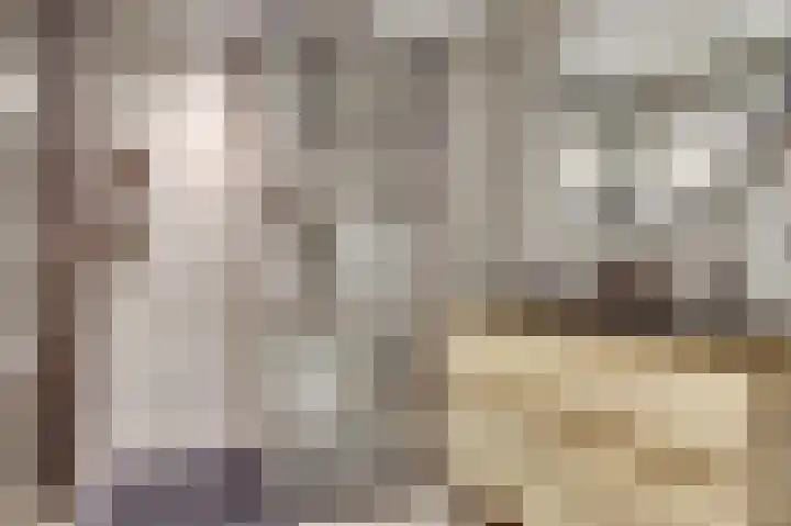 Doorzwin 2254 Julianadorp thumbnail 4