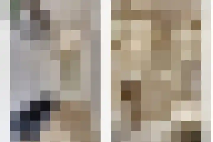 Doorzwin 2254 Julianadorp thumbnail 8