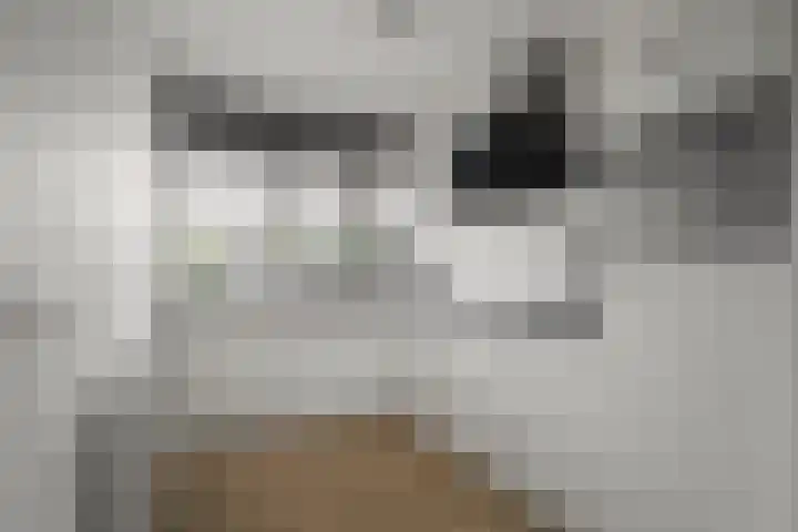 Doorzwin 2511 Julianadorp thumbnail 10