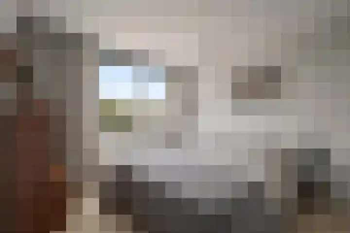 Doorzwin 2511 Julianadorp thumbnail 17