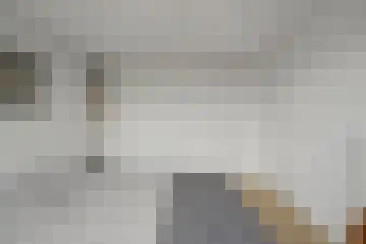 Doorzwin 2511 Julianadorp thumbnail 18