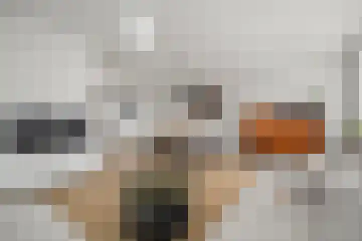 Doorzwin 2511 Julianadorp thumbnail 8