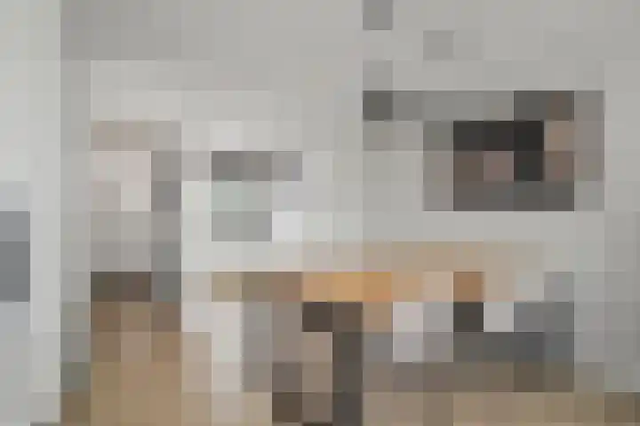 Doorzwin 2511 Julianadorp thumbnail 9