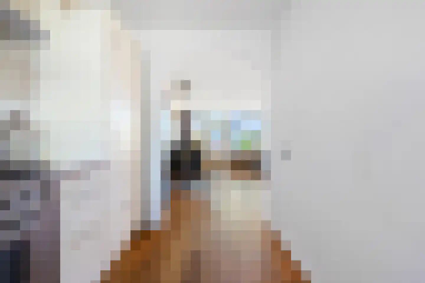 Doorzwin 2711 Julianadorp thumbnail 15