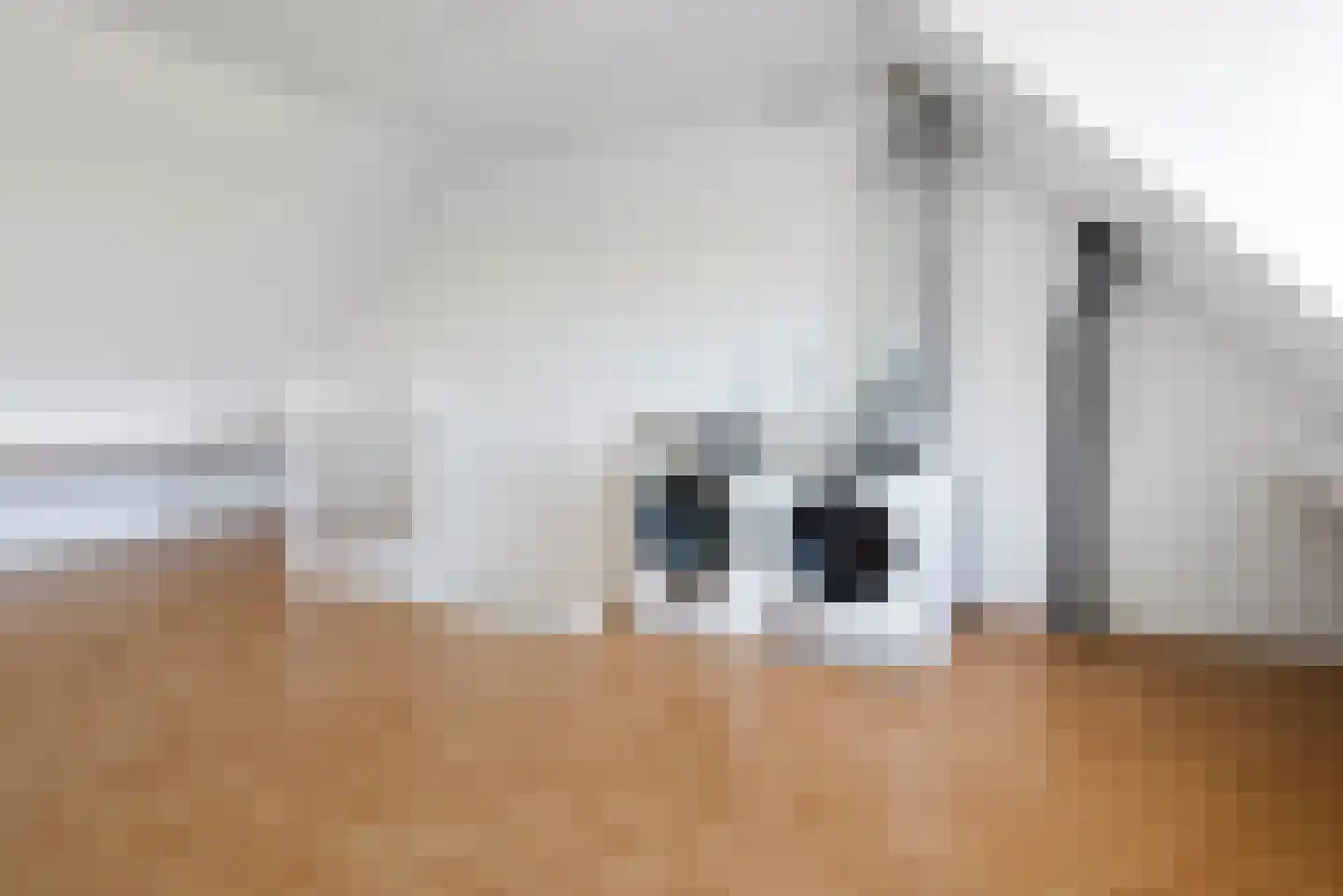 Doorzwin 2711 Julianadorp thumbnail 40