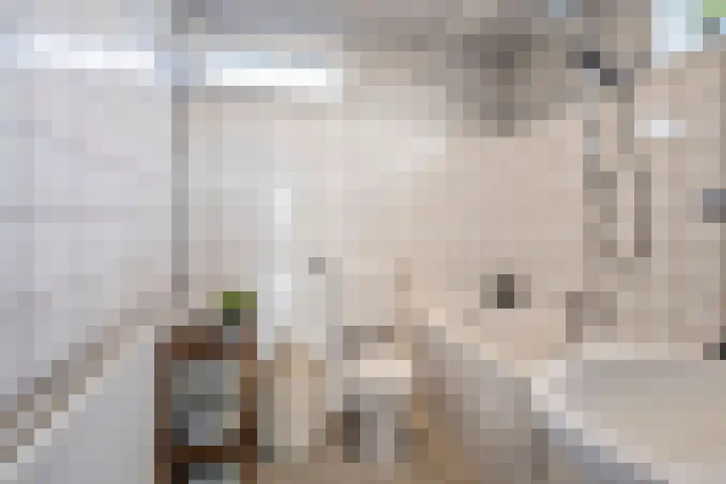 Doorzwin 2714 Julianadorp thumbnail 19