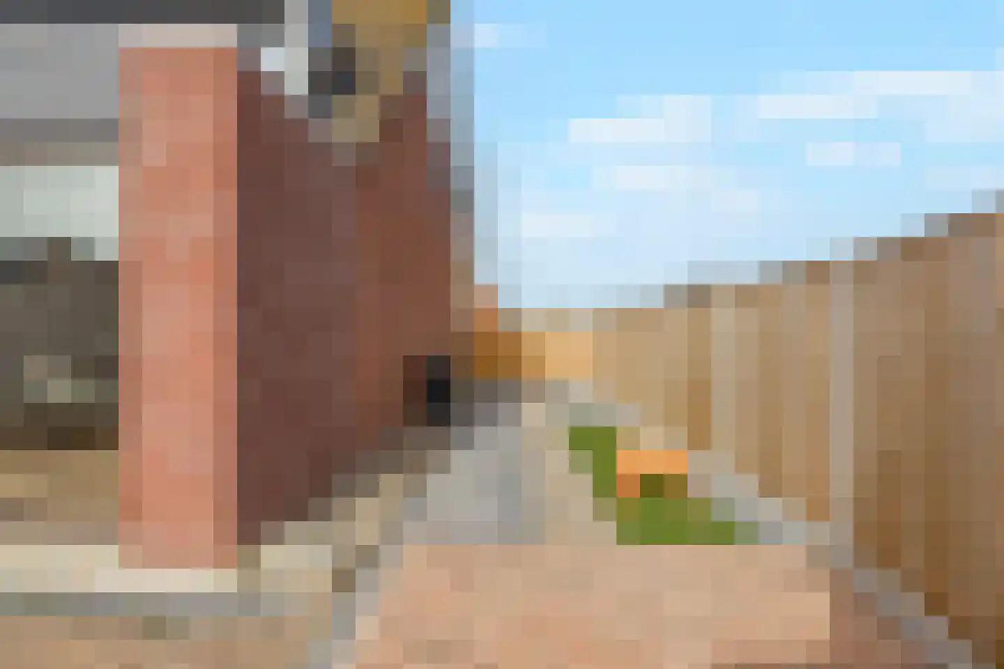 Doorzwin 2714 Julianadorp thumbnail 24