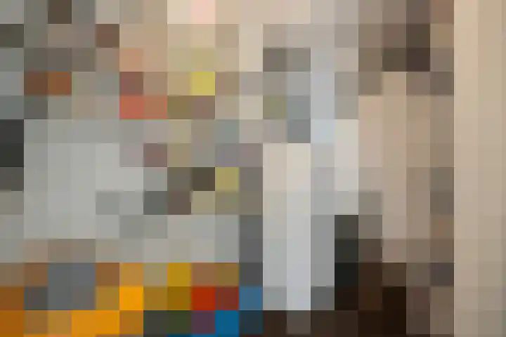 Doorzwin 2809 Julianadorp thumbnail 10