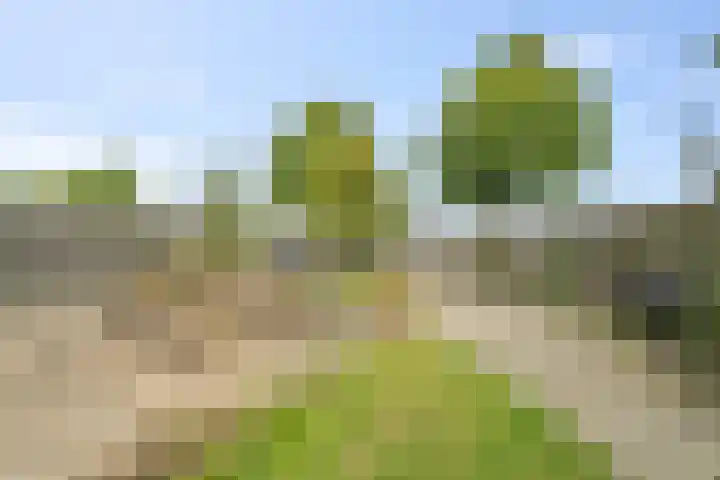 Doorzwin 2809 Julianadorp thumbnail 12