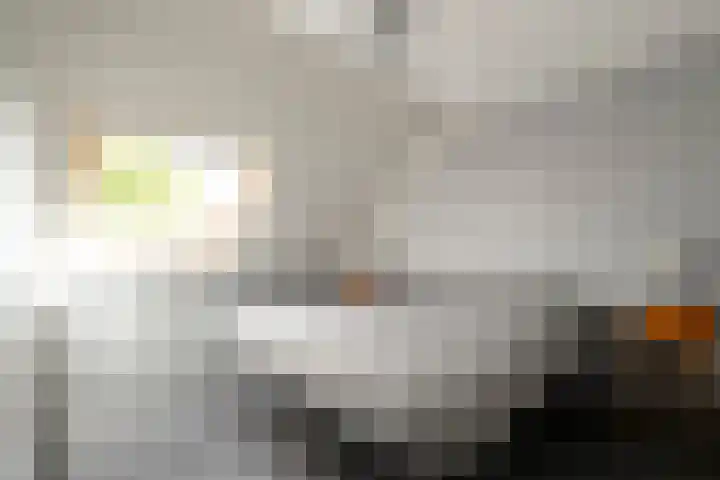 Doorzwin 2809 Julianadorp thumbnail 15