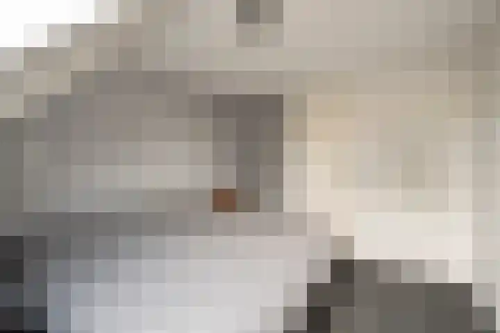 Doorzwin 2809 Julianadorp thumbnail 16