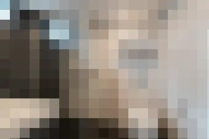 Doorzwin 2809 Julianadorp thumbnail 21