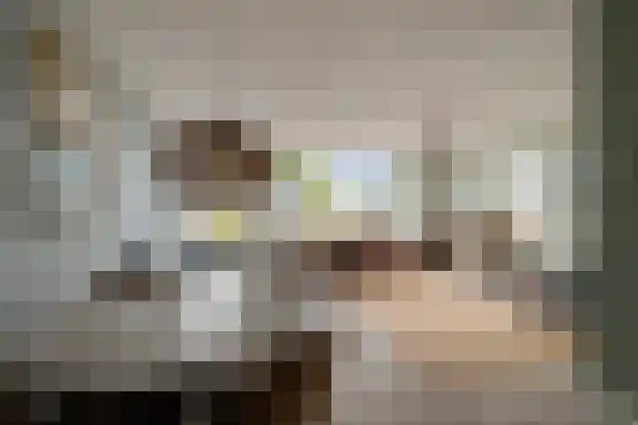 Doorzwin 2809 Julianadorp thumbnail 7