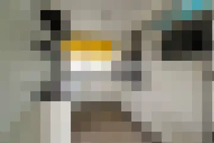 Doorzwin 2809 Julianadorp thumbnail 8