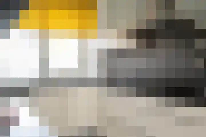 Doorzwin 2809 Julianadorp thumbnail 9
