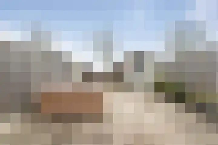 Doorzwin 2828 Julianadorp thumbnail 19