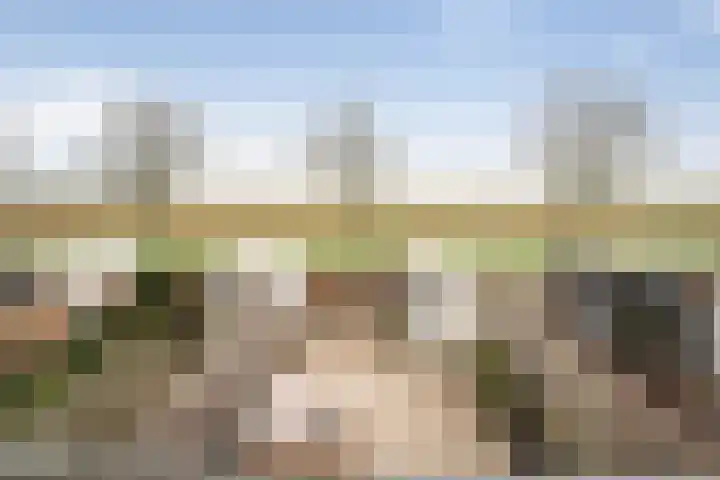 Doorzwin 2828 Julianadorp thumbnail 40