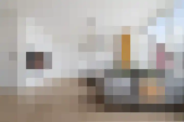 Doorzwin 2828 Julianadorp thumbnail 9