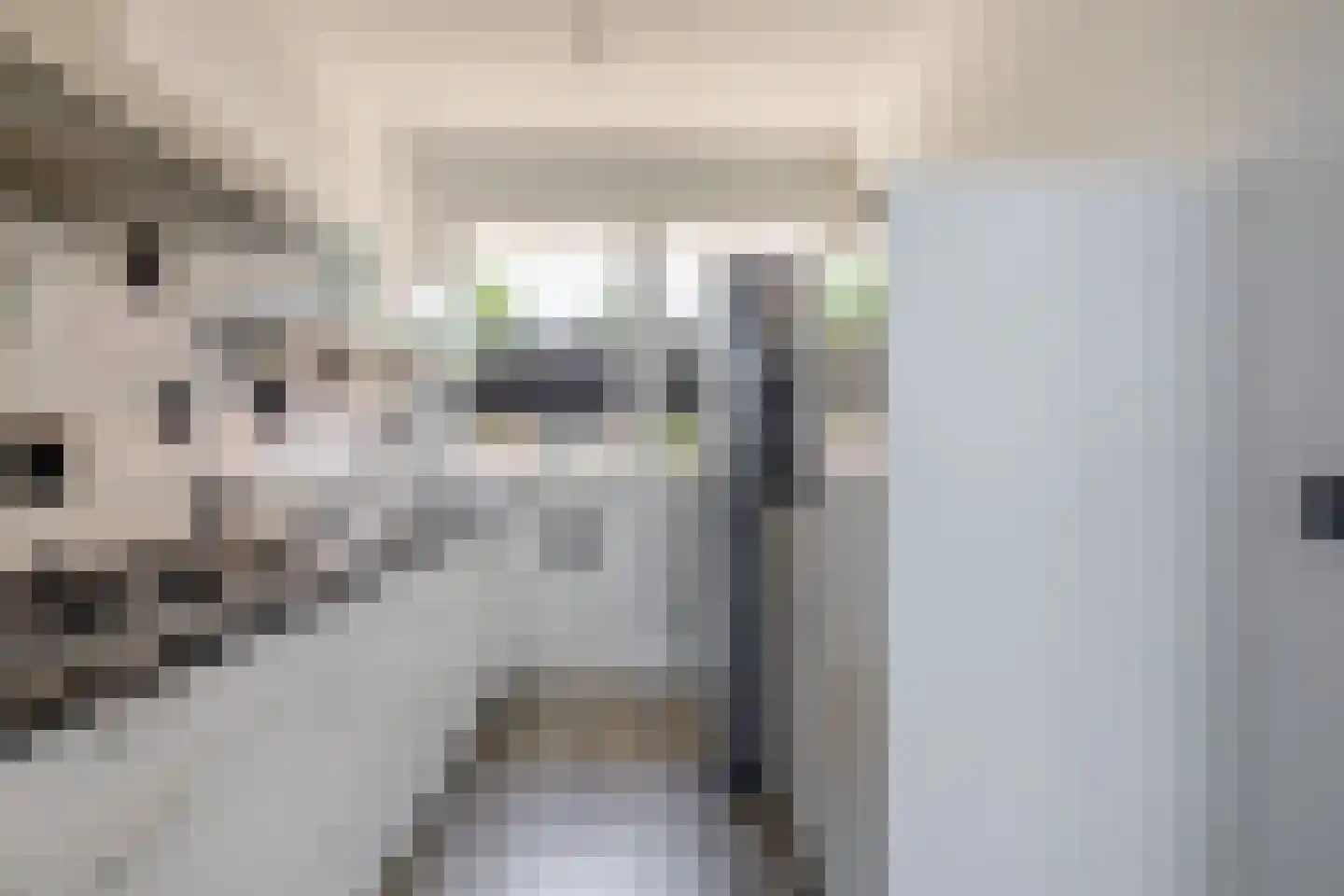 Doorzwin 2830 Julianadorp thumbnail 12