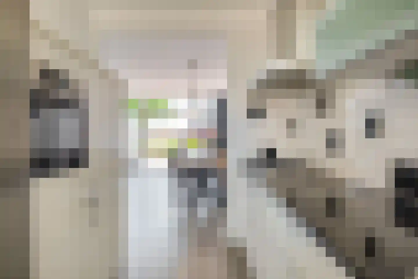Doorzwin 2830 Julianadorp thumbnail 13