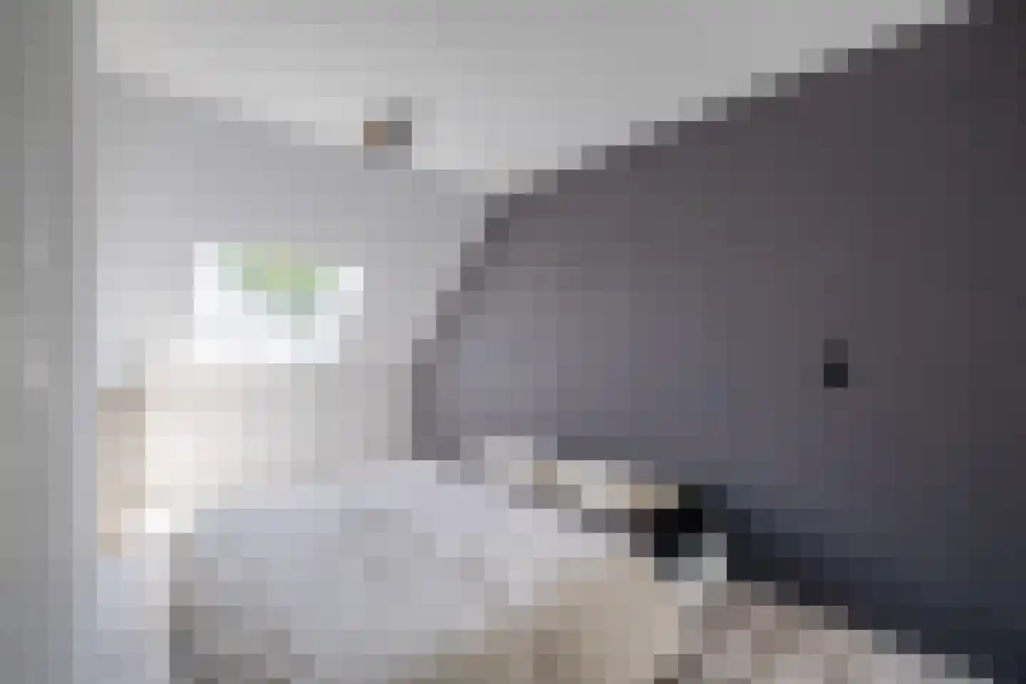 Doorzwin 2830 Julianadorp thumbnail 30