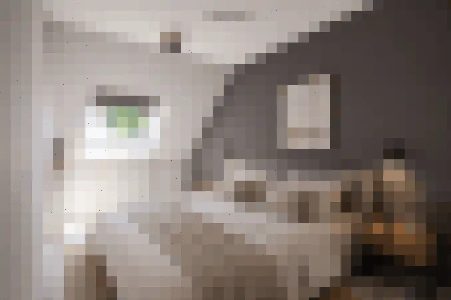 Doorzwin 2830 Julianadorp thumbnail 31