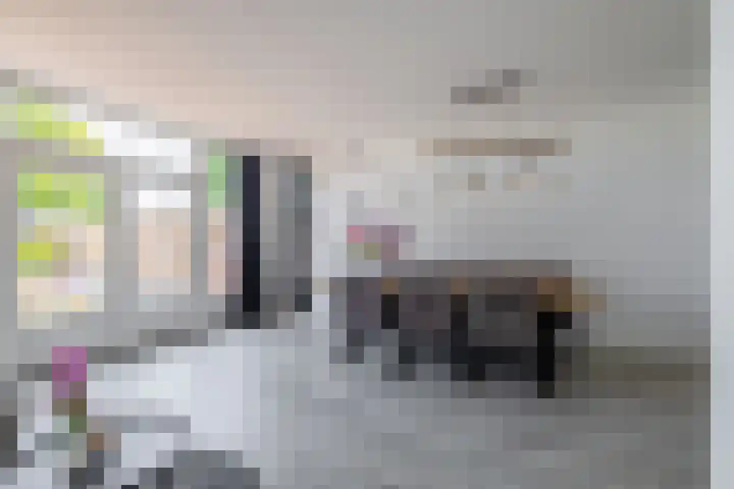 Doorzwin 2830 Julianadorp thumbnail 6