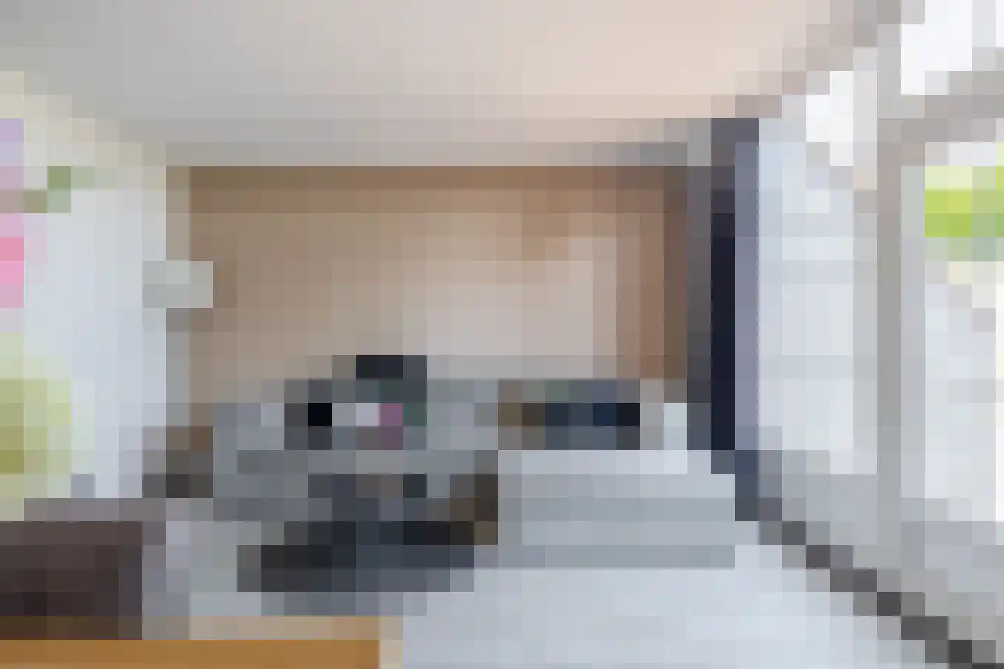 Doorzwin 2830 Julianadorp thumbnail 8
