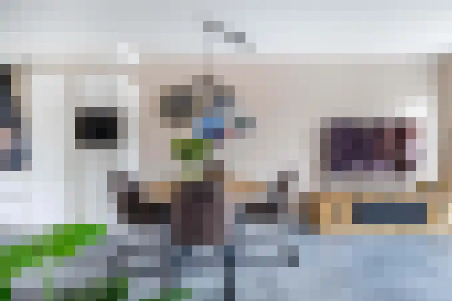 Doorzwin 2930 Julianadorp thumbnail 10
