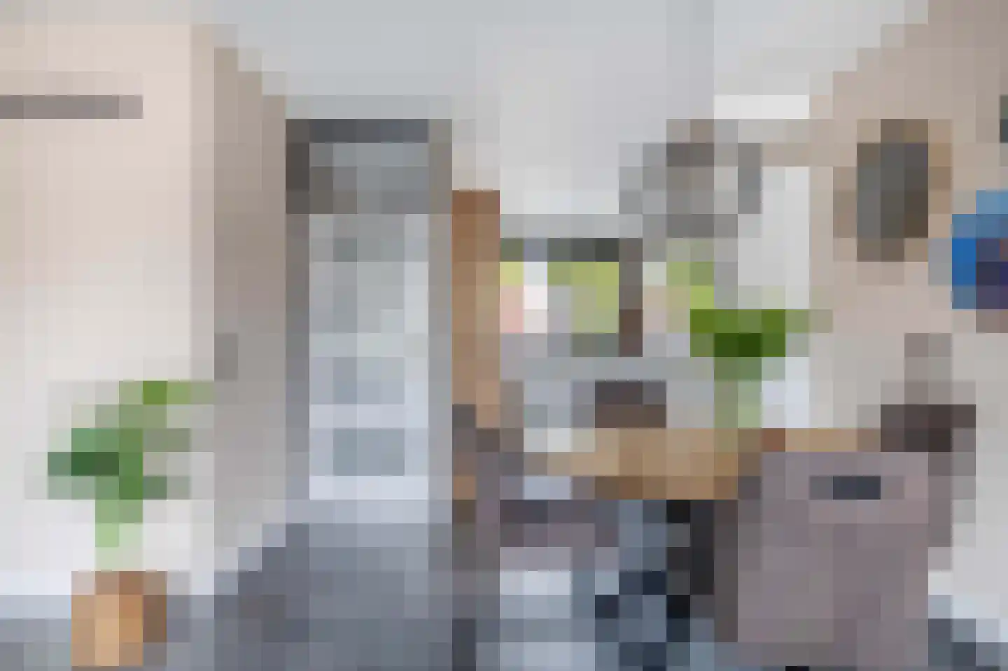 Doorzwin 2930 Julianadorp thumbnail 11