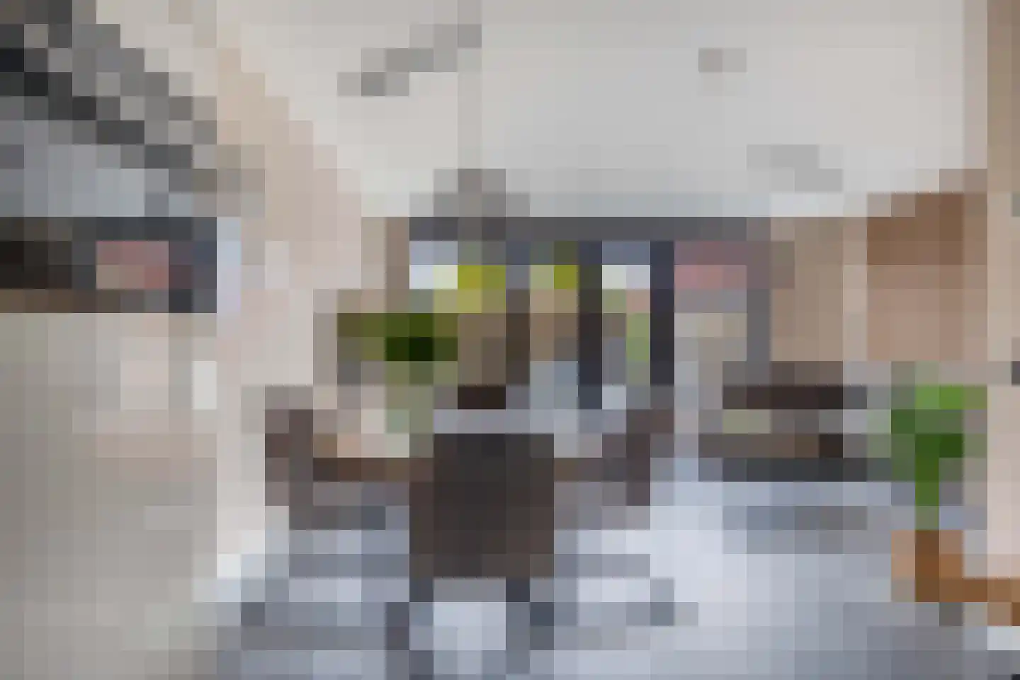 Doorzwin 2930 Julianadorp thumbnail 12