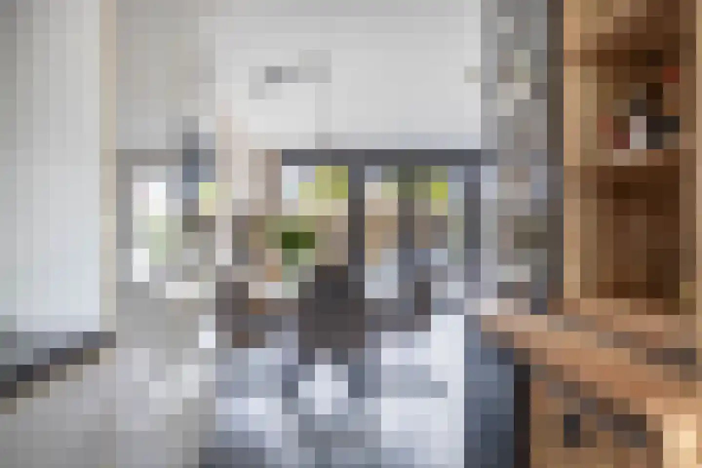 Doorzwin 2930 Julianadorp thumbnail 15