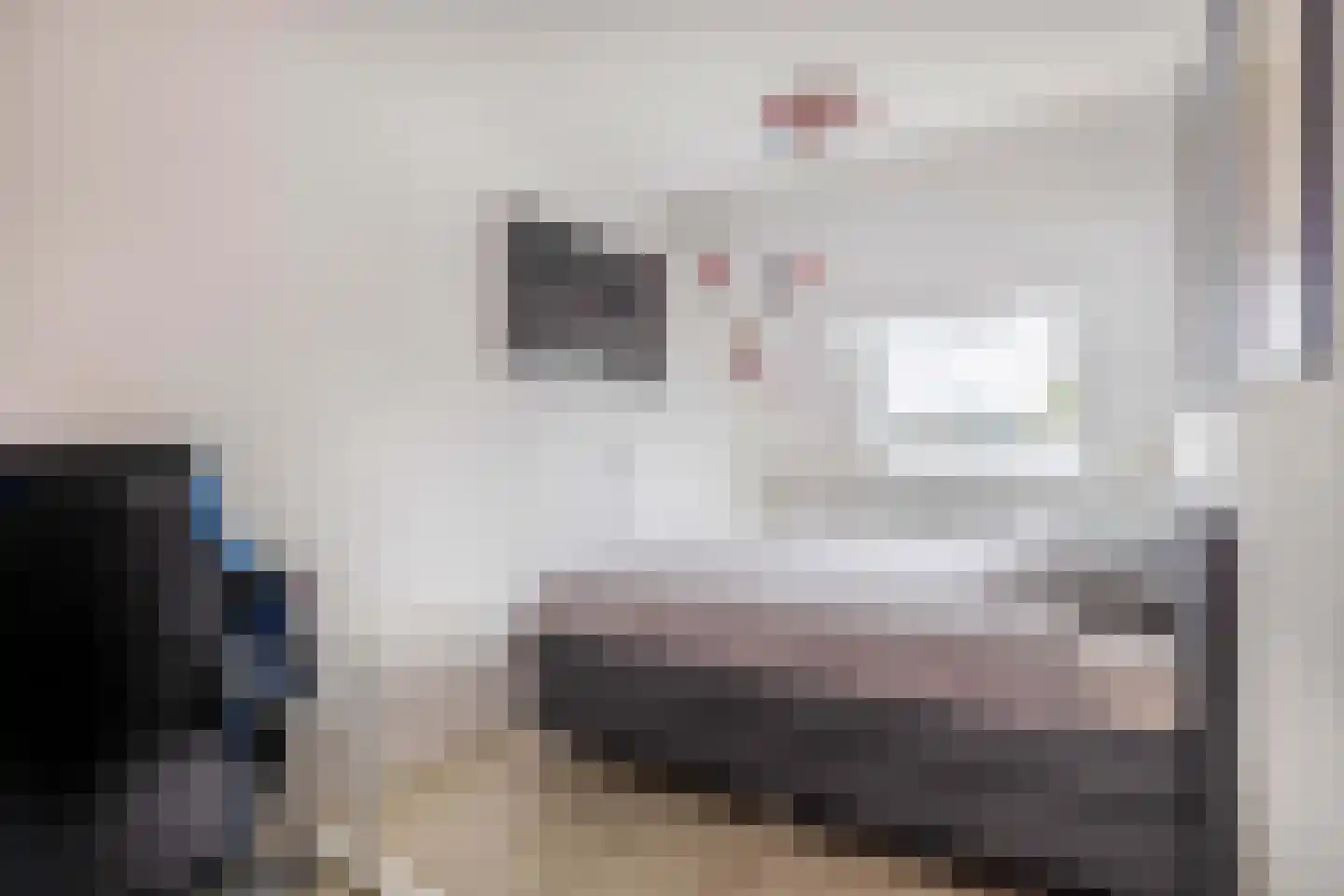 Doorzwin 2930 Julianadorp thumbnail 24