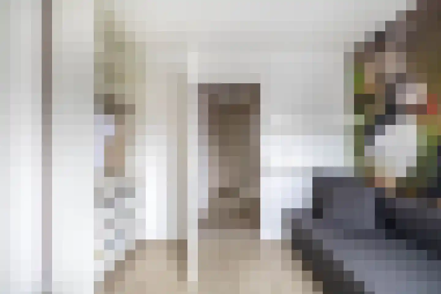 Doorzwin 2930 Julianadorp thumbnail 26