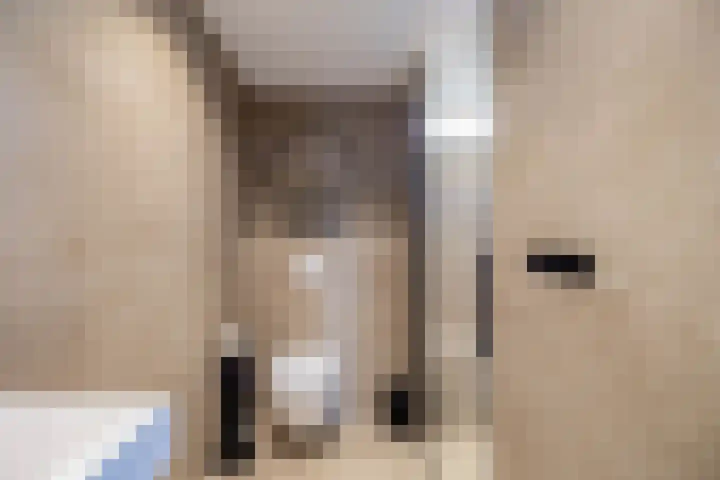 Doorzwin 2930 Julianadorp thumbnail 29