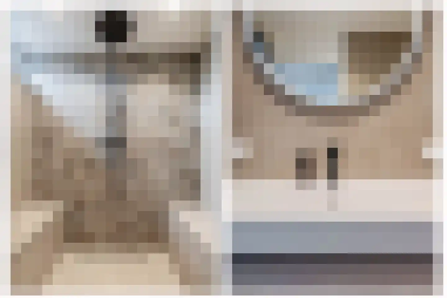 Doorzwin 2930 Julianadorp thumbnail 30