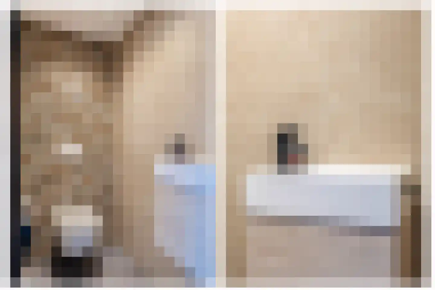 Doorzwin 2930 Julianadorp thumbnail 5