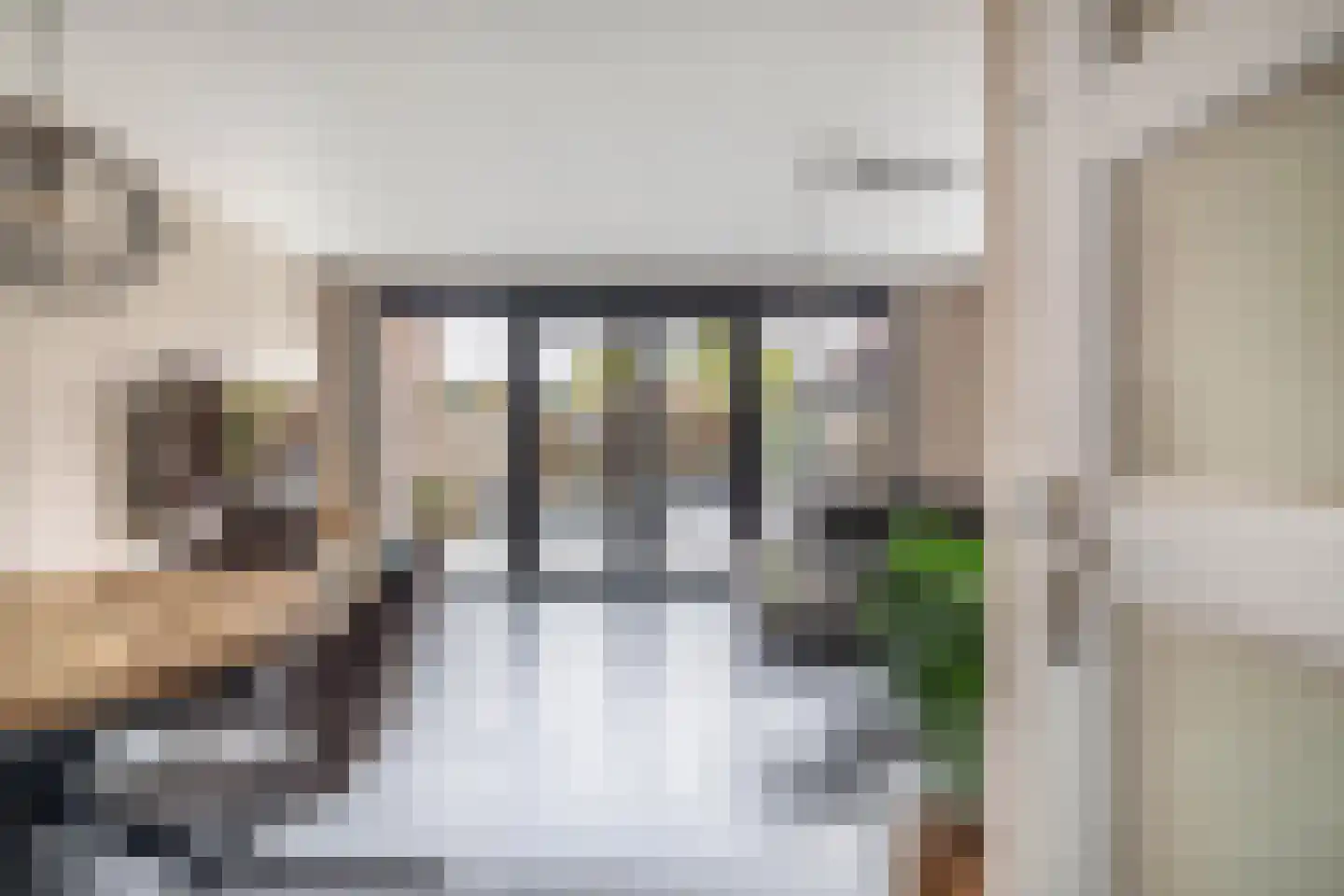Doorzwin 2930 Julianadorp thumbnail 6