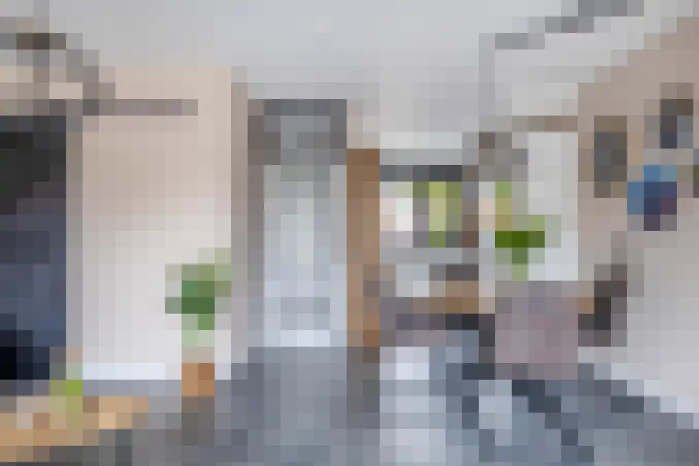 Doorzwin 2930 Julianadorp thumbnail 8