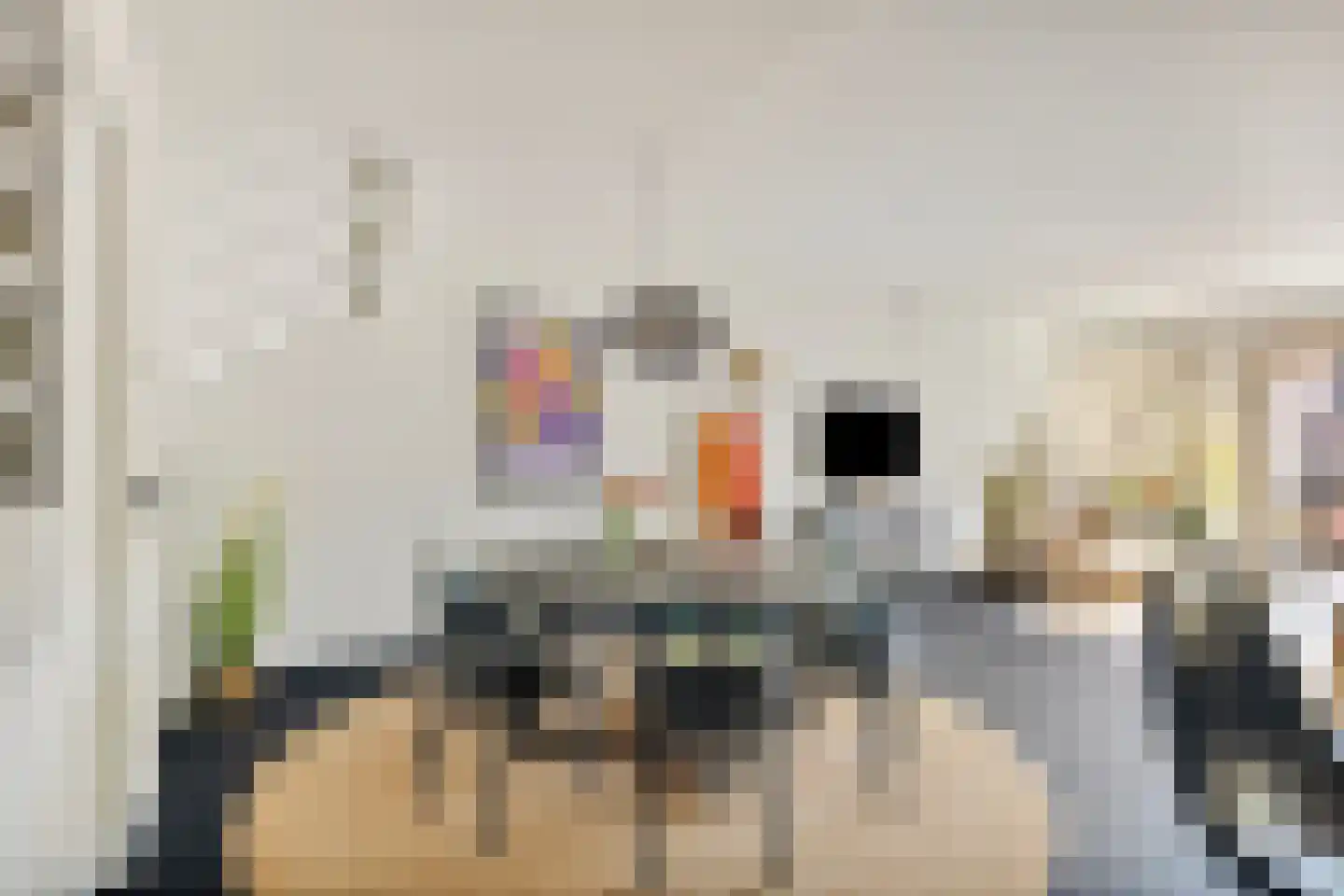 Doorzwin 2931 Julianadorp thumbnail 11