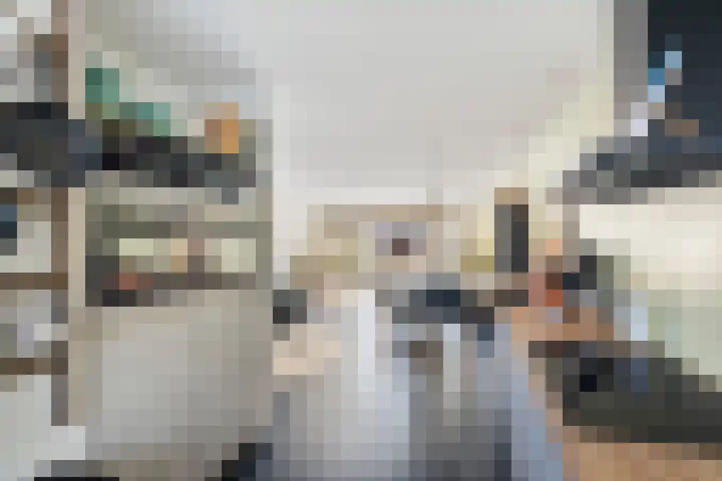 Doorzwin 2931 Julianadorp thumbnail 13