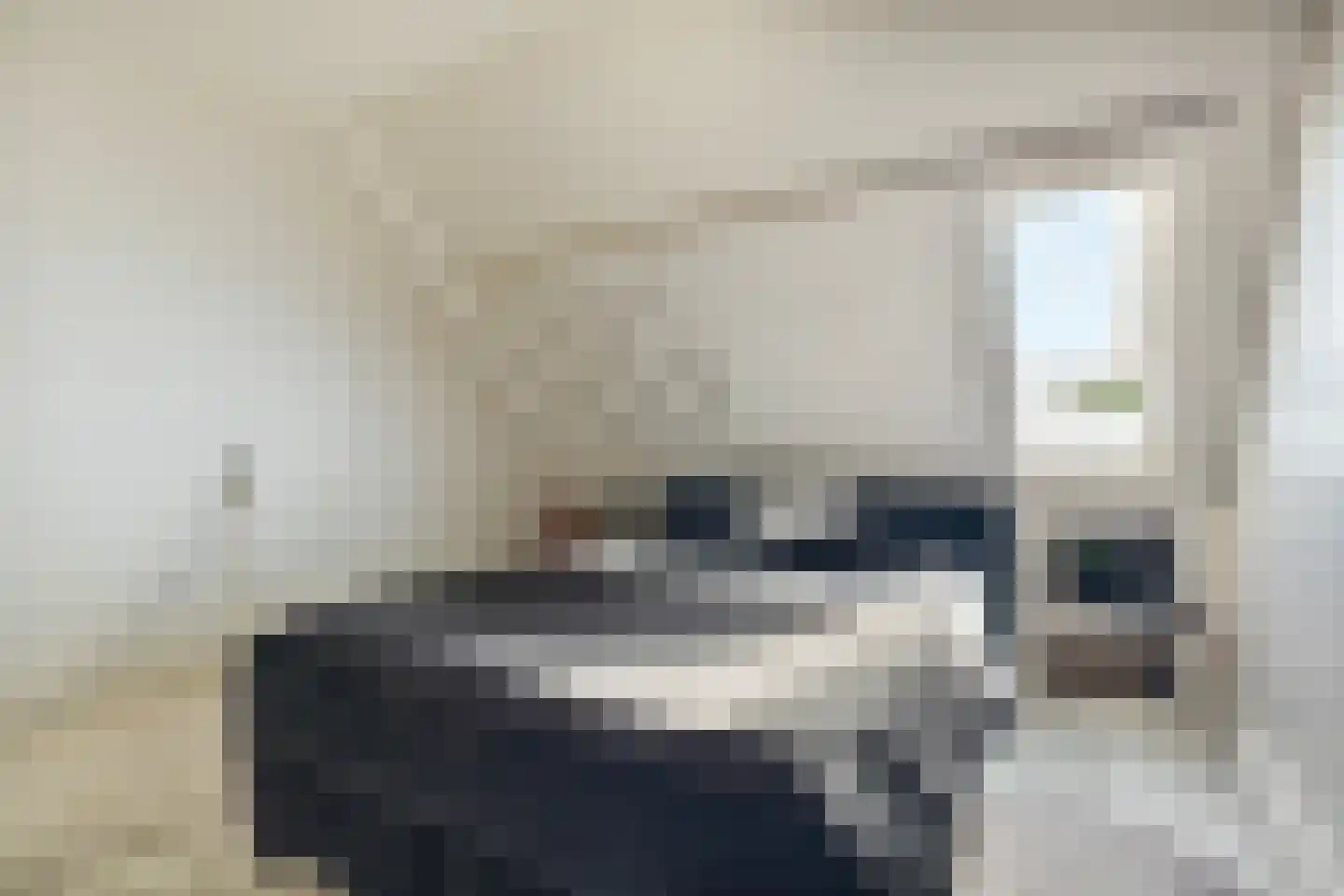 Doorzwin 2931 Julianadorp thumbnail 14
