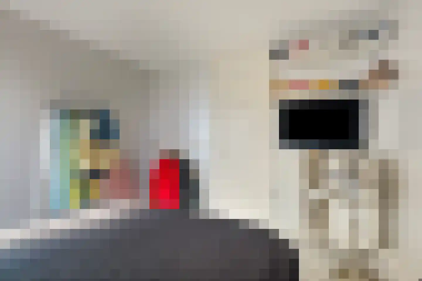 Doorzwin 2931 Julianadorp thumbnail 15