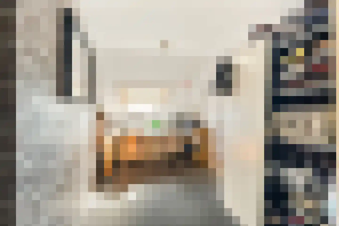 Doorzwin 2931 Julianadorp thumbnail 16