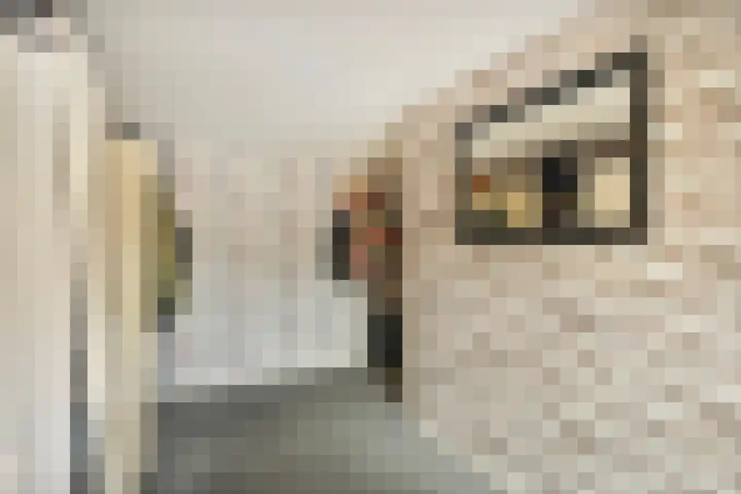 Doorzwin 2931 Julianadorp thumbnail 17
