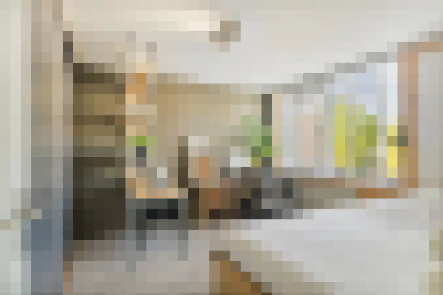 Doorzwin 2931 Julianadorp thumbnail 19