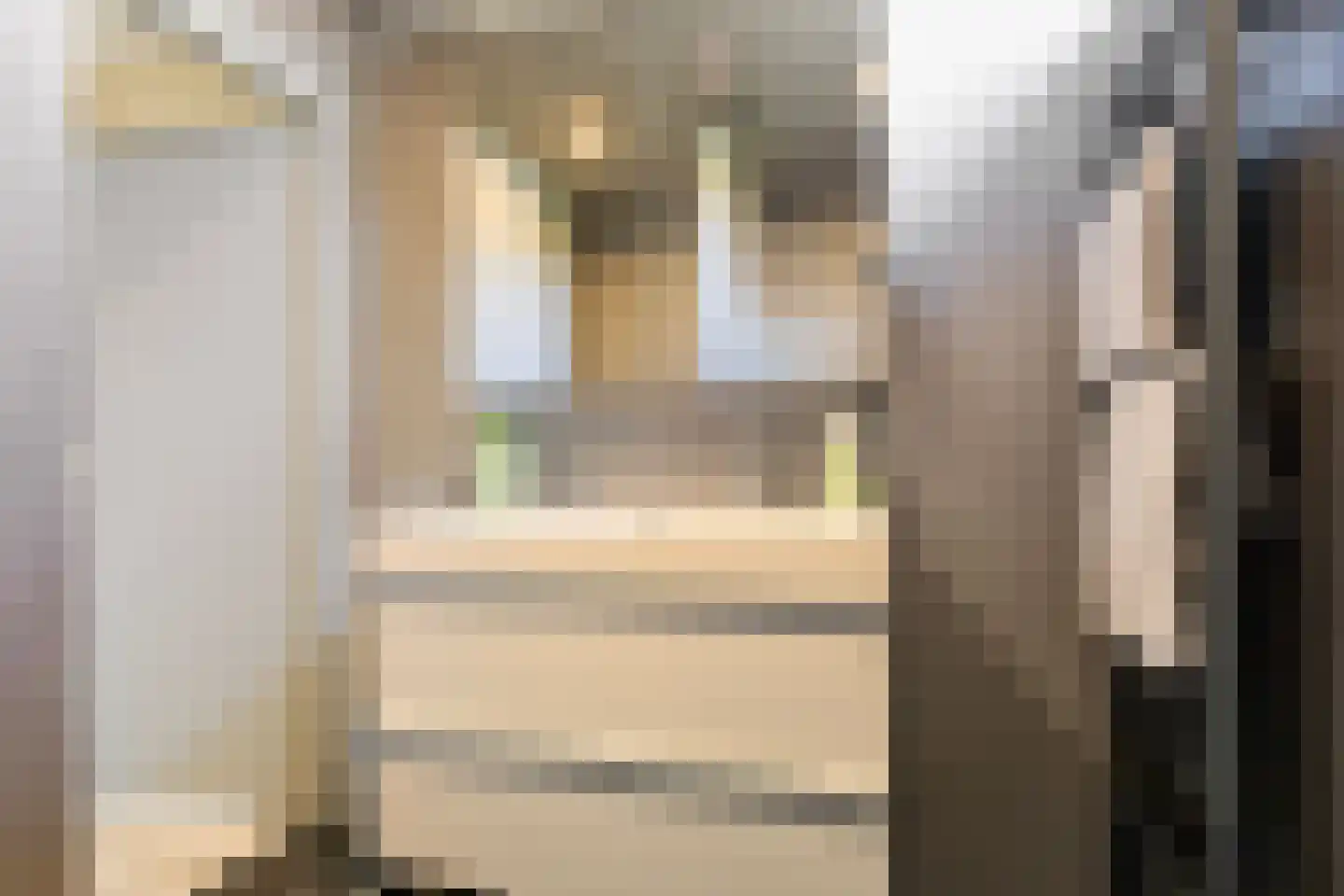Doorzwin 2931 Julianadorp thumbnail 24