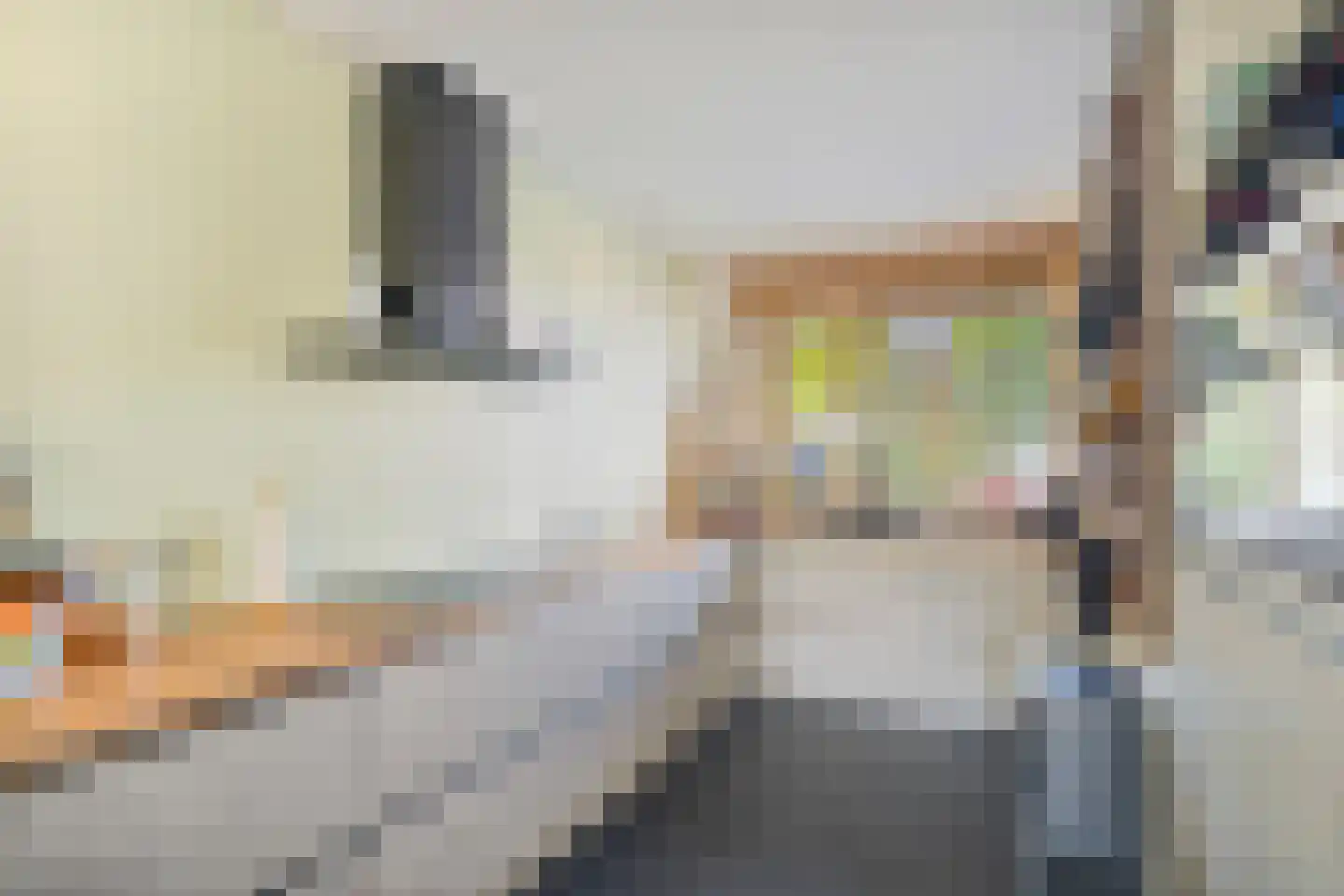 Doorzwin 2931 Julianadorp thumbnail 4