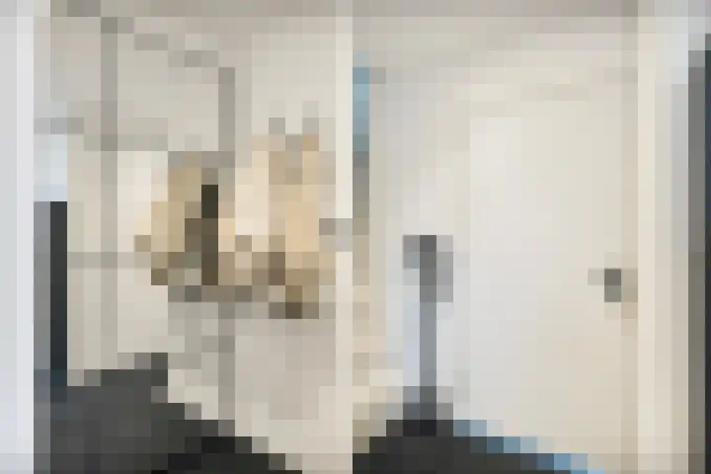Doorzwin 2931 Julianadorp thumbnail 6